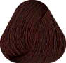 6/5 Темно-русый красный